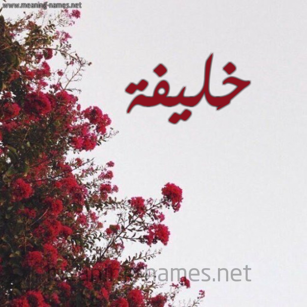 شكل 18 صوره الورد الأحمر للإسم بخط رقعة صورة اسم خَليفة KHALIFH