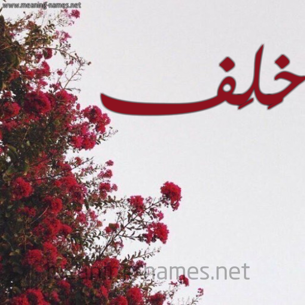 شكل 18 صوره الورد الأحمر للإسم بخط رقعة صورة اسم خَلَف KHALAF