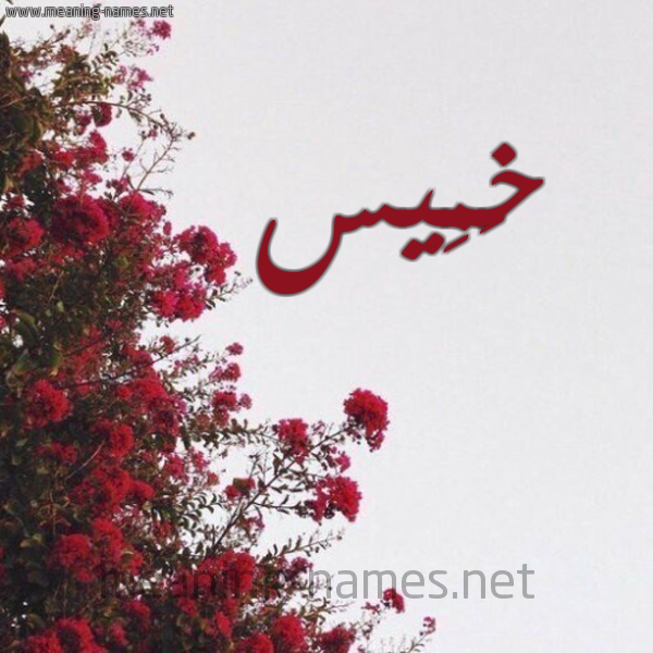 شكل 18 صوره الورد الأحمر للإسم بخط رقعة صورة اسم خَمِيس KHAMEIS