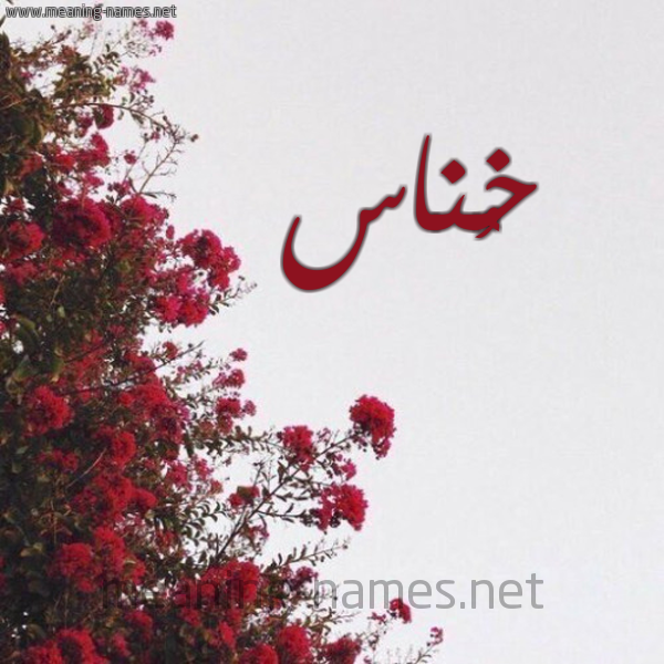 شكل 18 صوره الورد الأحمر للإسم بخط رقعة صورة اسم خُناس KHONAS
