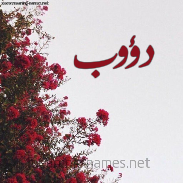 شكل 18 صوره الورد الأحمر للإسم بخط رقعة صورة اسم دؤوب Daoob