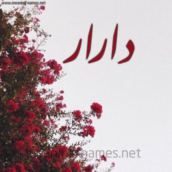 شكل 18 صوره الورد الأحمر للإسم بخط رقعة صورة اسم دارار darar