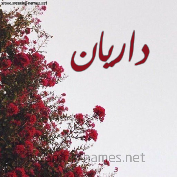شكل 18 صوره الورد الأحمر للإسم بخط رقعة صورة اسم داريان darian