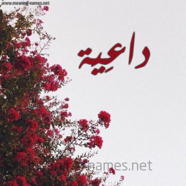 شكل 18 صوره الورد الأحمر للإسم بخط رقعة صورة اسم داعِيَة DAAEIAH