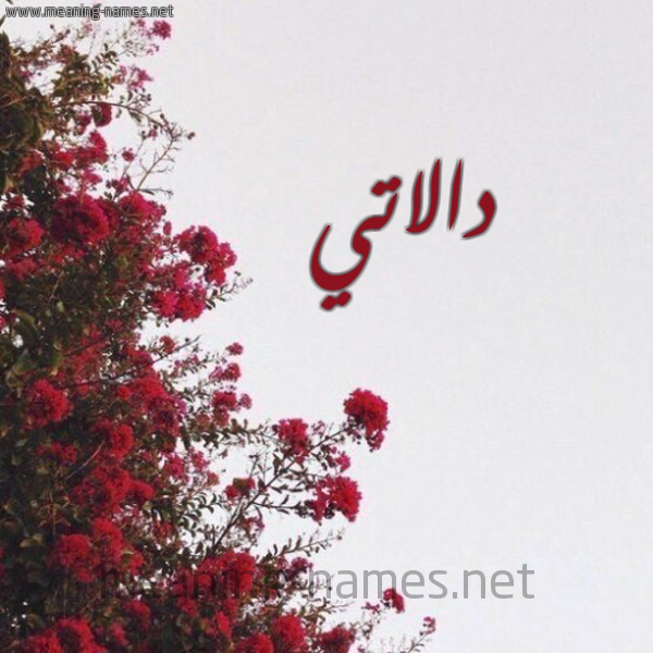 شكل 18 صوره الورد الأحمر للإسم بخط رقعة صورة اسم دالاتي DALATI