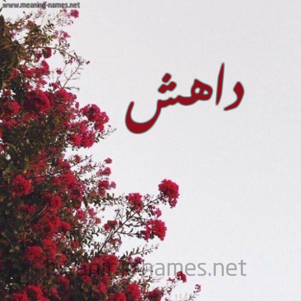 شكل 18 صوره الورد الأحمر للإسم بخط رقعة صورة اسم داهش Dahsh