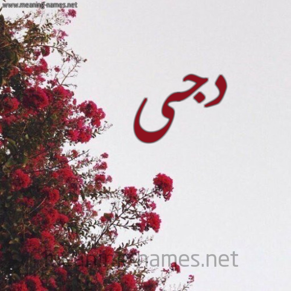 شكل 18 صوره الورد الأحمر للإسم بخط رقعة صورة اسم دجى Dja