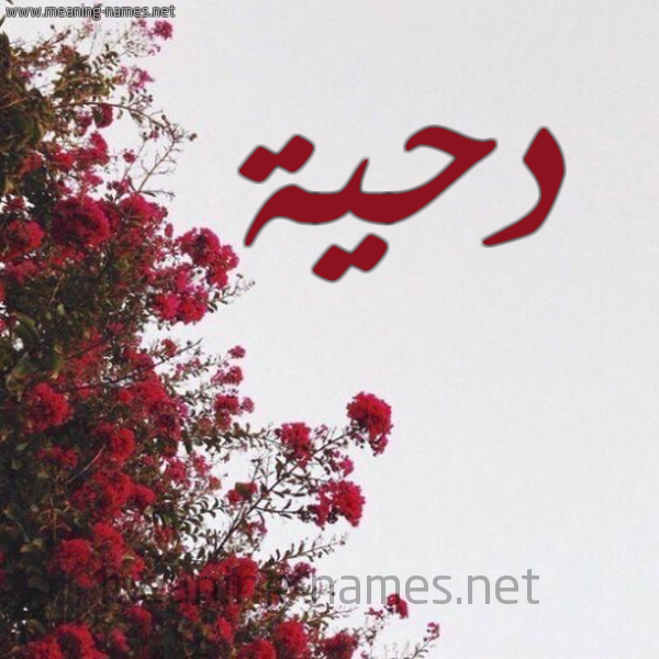 شكل 18 صوره الورد الأحمر للإسم بخط رقعة صورة اسم دحية Dhia