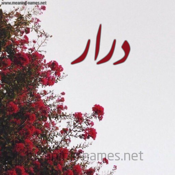 شكل 18 صوره الورد الأحمر للإسم بخط رقعة صورة اسم درار Drar