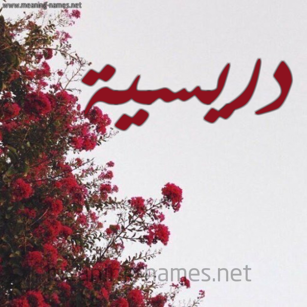 شكل 18 صوره الورد الأحمر للإسم بخط رقعة صورة اسم دريسية DRISSIA