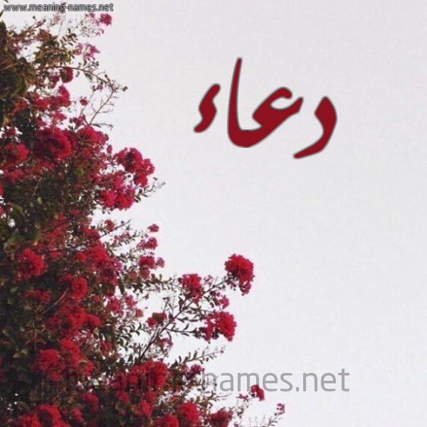 شكل 18 صوره الورد الأحمر للإسم بخط رقعة صورة اسم دعاء Doaa
