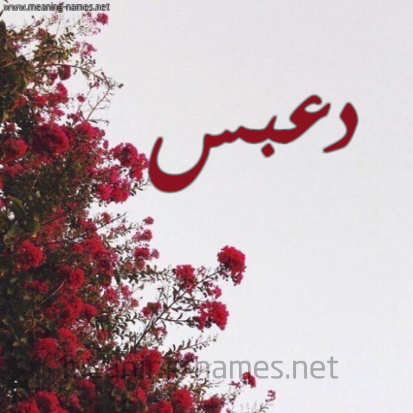 شكل 18 صوره الورد الأحمر للإسم بخط رقعة صورة اسم دعبس DABS