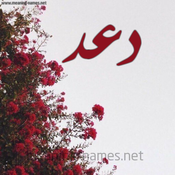 شكل 18 صوره الورد الأحمر للإسم بخط رقعة صورة اسم دعد Dad