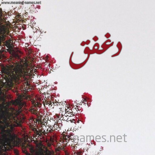 شكل 18 صوره الورد الأحمر للإسم بخط رقعة صورة اسم دغفق Dghfq