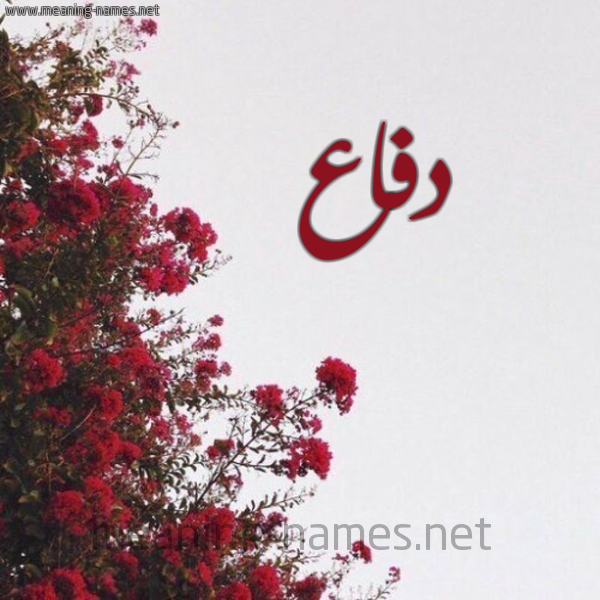 شكل 18 صوره الورد الأحمر للإسم بخط رقعة صورة اسم دفاع دَفَّاعُ-Dfa'