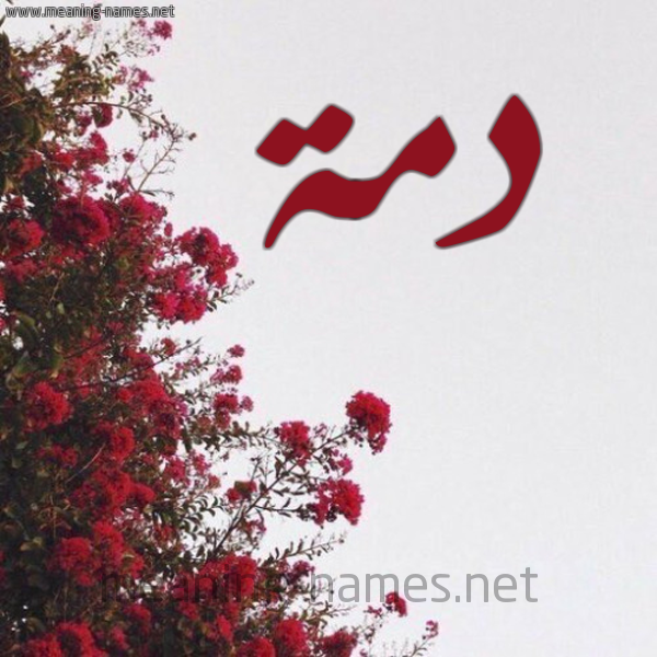 شكل 18 صوره الورد الأحمر للإسم بخط رقعة صورة اسم دمة Dumiyad