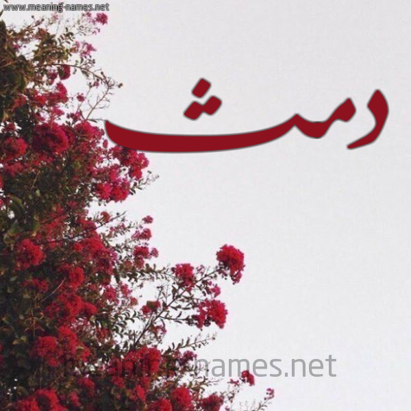 شكل 18 صوره الورد الأحمر للإسم بخط رقعة صورة اسم دمث Dmth