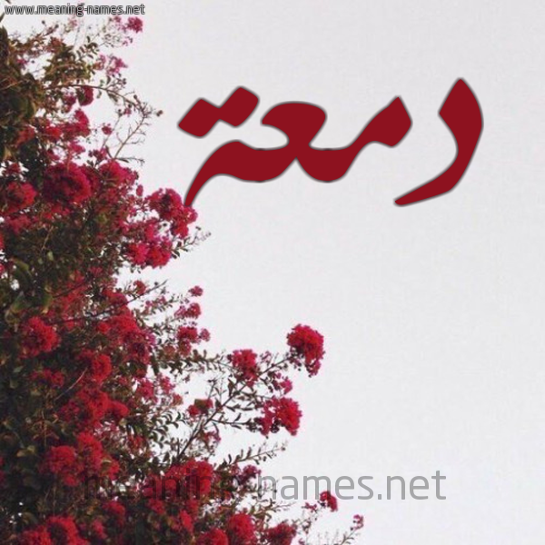 شكل 18 صوره الورد الأحمر للإسم بخط رقعة صورة اسم دمعة DMAH
