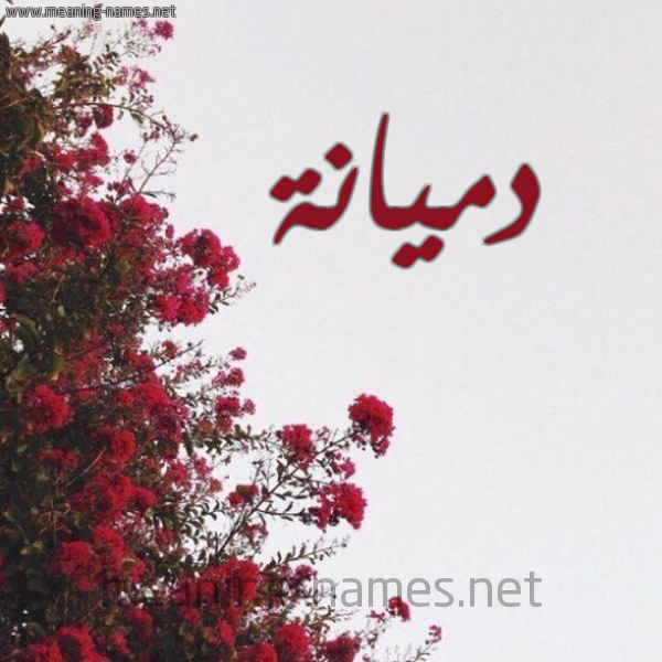شكل 18 صوره الورد الأحمر للإسم بخط رقعة صورة اسم دميانة dimyana