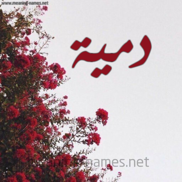 شكل 18 صوره الورد الأحمر للإسم بخط رقعة صورة اسم دمية DMIH