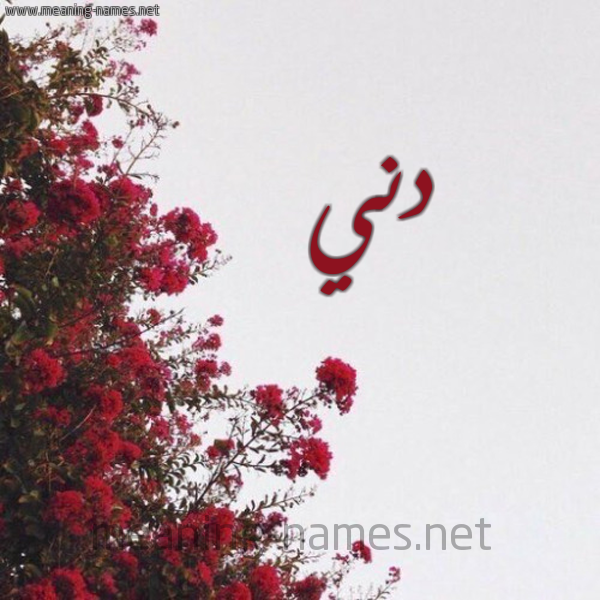 شكل 18 صوره الورد الأحمر للإسم بخط رقعة صورة اسم دني DNI
