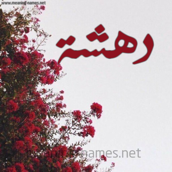 شكل 18 صوره الورد الأحمر للإسم بخط رقعة صورة اسم دهشة D'hshh