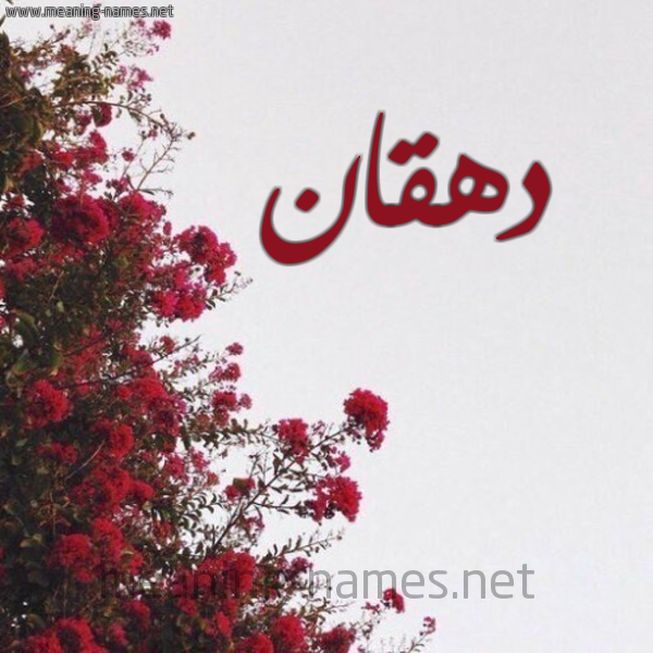 شكل 18 صوره الورد الأحمر للإسم بخط رقعة صورة اسم دهقان D'hqan