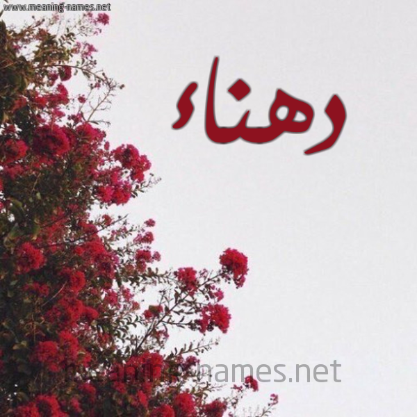 شكل 18 صوره الورد الأحمر للإسم بخط رقعة صورة اسم دهناء D'hna'a