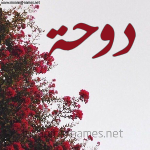 شكل 18 صوره الورد الأحمر للإسم بخط رقعة صورة اسم دوحة Dwhh