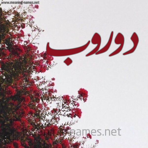 شكل 18 صوره الورد الأحمر للإسم بخط رقعة صورة اسم دوروب Dorob