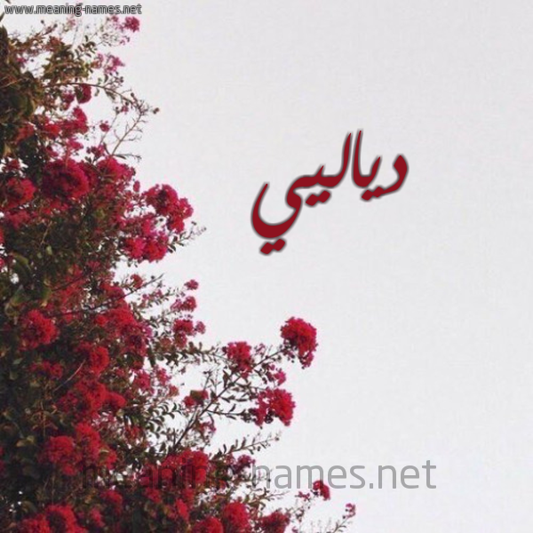شكل 18 صوره الورد الأحمر للإسم بخط رقعة صورة اسم دياليي Diali