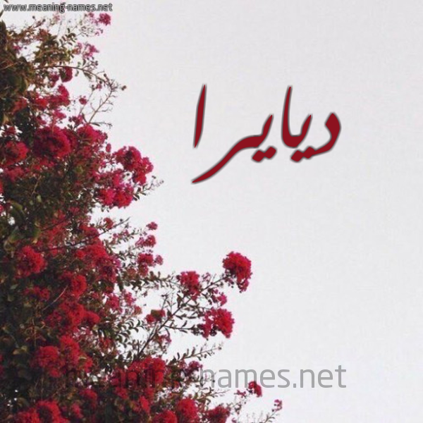 شكل 18 صوره الورد الأحمر للإسم بخط رقعة صورة اسم ديايرا Diarra