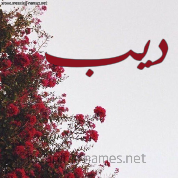 شكل 18 صوره الورد الأحمر للإسم بخط رقعة صورة اسم ديب Deeb