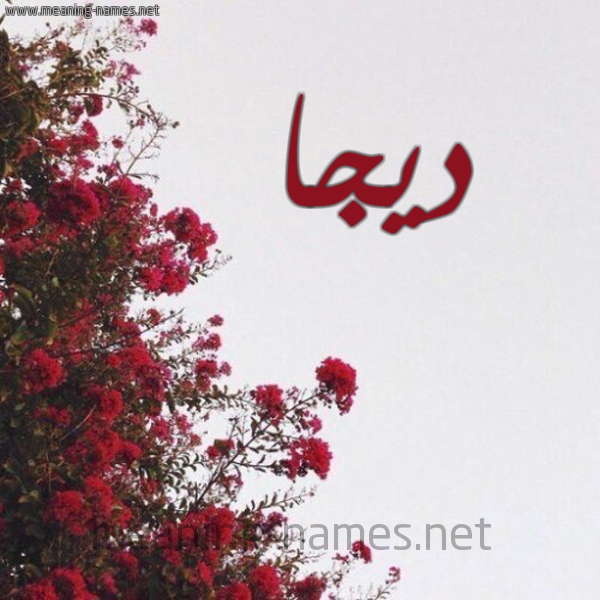 شكل 18 صوره الورد الأحمر للإسم بخط رقعة صورة اسم ديجا Dija