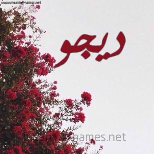 شكل 18 صوره الورد الأحمر للإسم بخط رقعة صورة اسم ديجو Dego