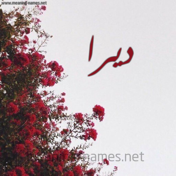شكل 18 صوره الورد الأحمر للإسم بخط رقعة صورة اسم ديرا Dera