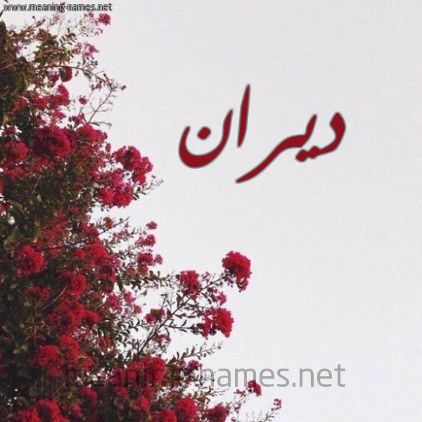 شكل 18 صوره الورد الأحمر للإسم بخط رقعة صورة اسم ديران diran