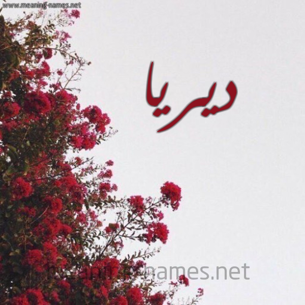 شكل 18 صوره الورد الأحمر للإسم بخط رقعة صورة اسم ديريا Derya