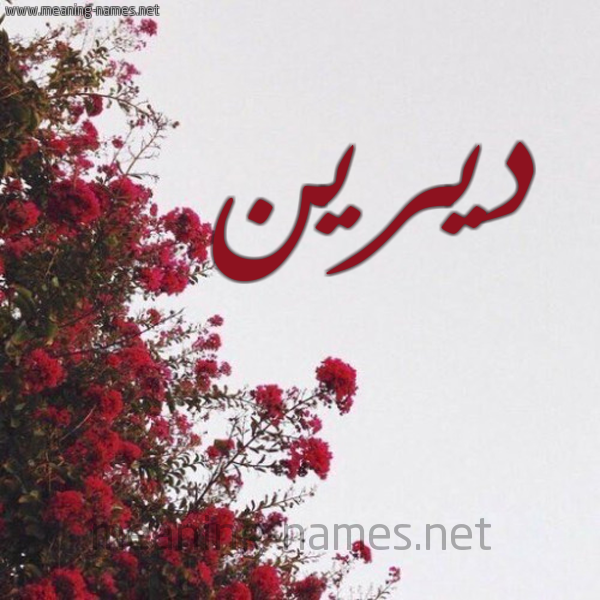 شكل 18 صوره الورد الأحمر للإسم بخط رقعة صورة اسم ديرين Derina