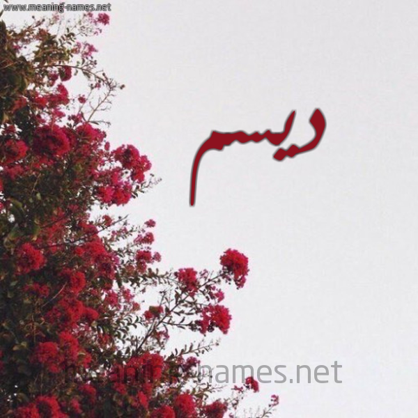 شكل 18 صوره الورد الأحمر للإسم بخط رقعة صورة اسم ديسم Dysm