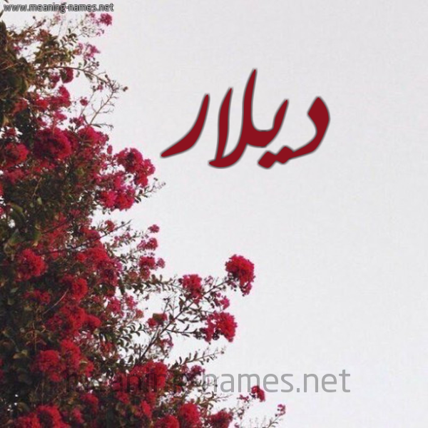 شكل 18 صوره الورد الأحمر للإسم بخط رقعة صورة اسم ديلار Dilar