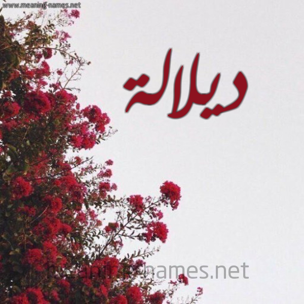 شكل 18 صوره الورد الأحمر للإسم بخط رقعة صورة اسم ديلالة Dalalah