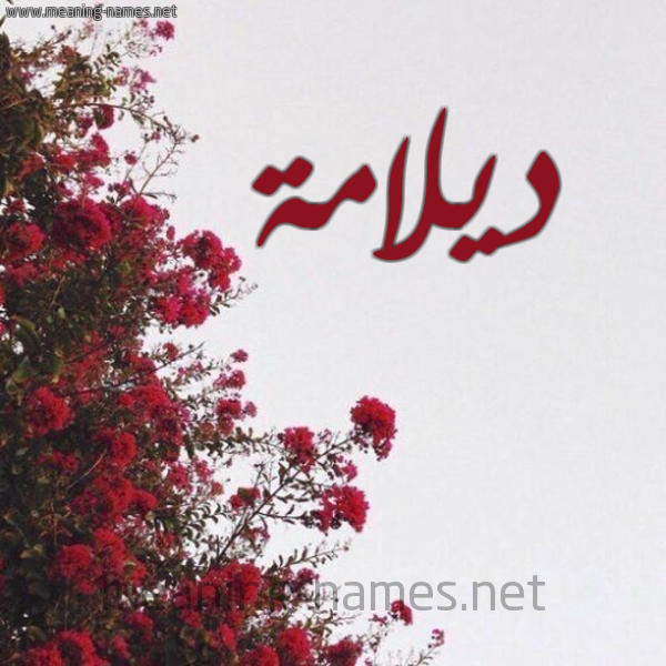 شكل 18 صوره الورد الأحمر للإسم بخط رقعة صورة اسم ديلامة Dalamah