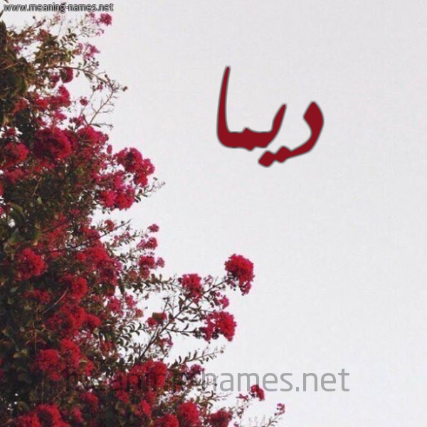 شكل 18 صوره الورد الأحمر للإسم بخط رقعة صورة اسم ديما Dima