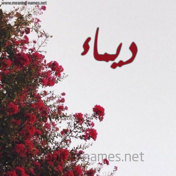 شكل 18 صوره الورد الأحمر للإسم بخط رقعة صورة اسم ديماء Dyma'a