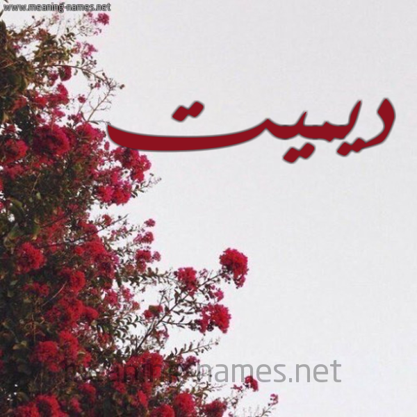 شكل 18 صوره الورد الأحمر للإسم بخط رقعة صورة اسم ديميت Demet