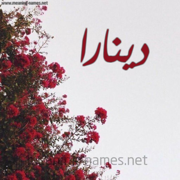 شكل 18 صوره الورد الأحمر للإسم بخط رقعة صورة اسم دينارا dinara