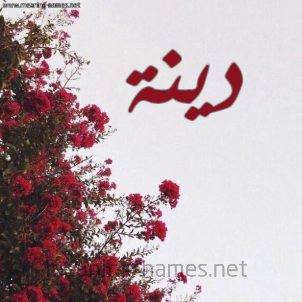 شكل 18 صوره الورد الأحمر للإسم بخط رقعة صورة اسم دينة DINH