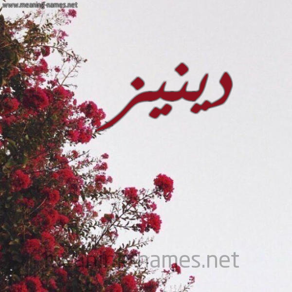 شكل 18 صوره الورد الأحمر للإسم بخط رقعة صورة اسم دينيز Denez