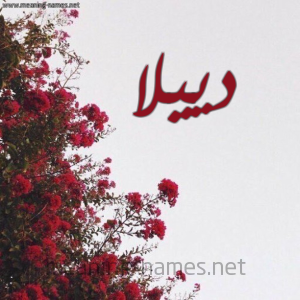 شكل 18 صوره الورد الأحمر للإسم بخط رقعة صورة اسم دييلا Dilla